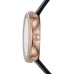 Emporio Armani AR11356
