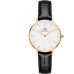 Часы Daniel Wellington DW00100229