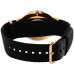 Часы Daniel Wellington DW00100253