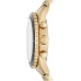Fossil FS5836