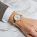 Часы Michael Kors MK3977