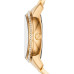 Часы Michael Kors MK6227