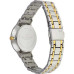 Часы Skagen SKW2321